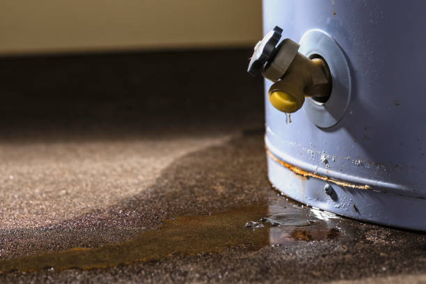 Best Water damage contractors near me  in Forest Park, OH
