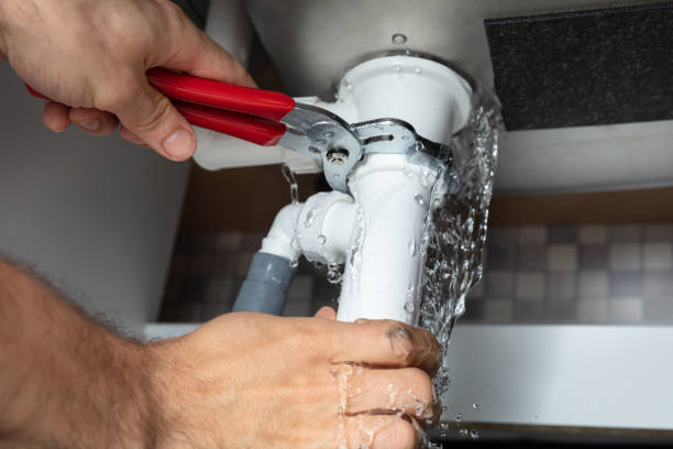 Best Water damage cleanup near me  in Forest Park, OH