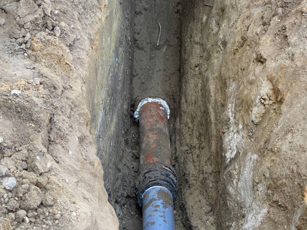 Best 24-hour water damage restoration  in Forest Park, OH