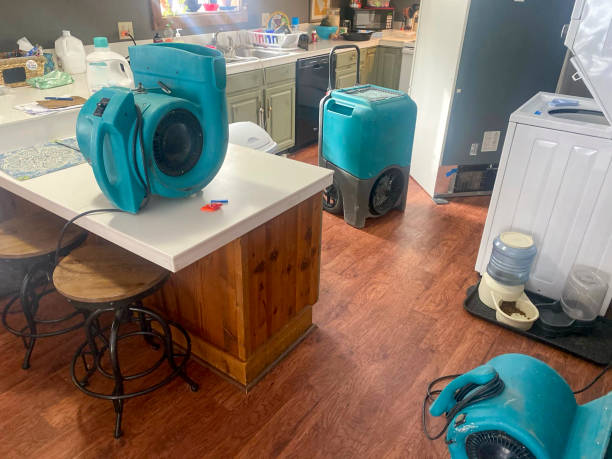 Best Commercial water damage restoration  in Forest Park, OH