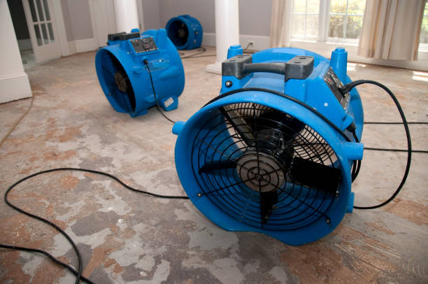 Best Water damage restoration specialists  in Forest Park, OH