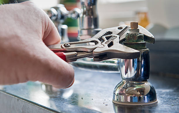 Best Professional water damage repair  in Forest Park, OH