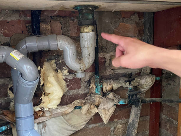 Best Residential water damage restoration  in Forest Park, OH