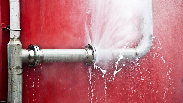 Best Flooded house restoration  in Forest Park, OH