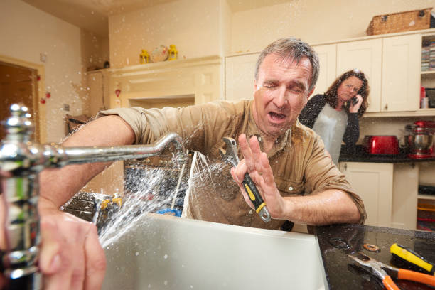 Best Water damage restoration insurance claims  in Forest Park, OH